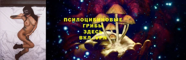 трава Богданович