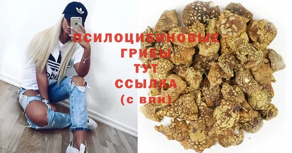 марки nbome Богородицк